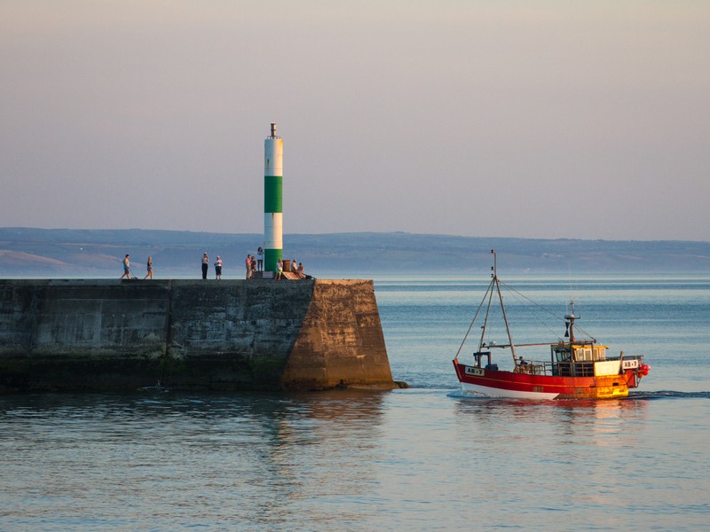 E - Cardigan Bay Seafood Festival.jpg