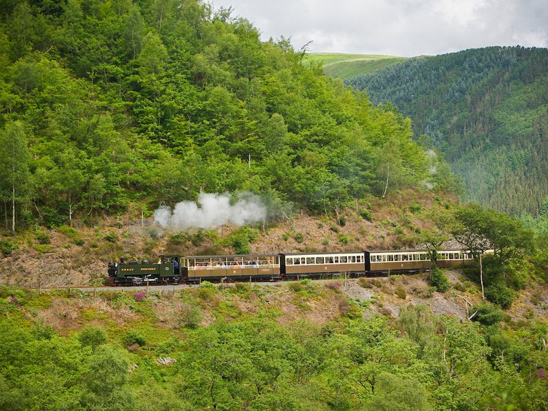 G - Vale of Rheidol Railway.jpg